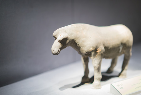 2025 Feng Shui Forecast for Every Chinese Zodiac Animal