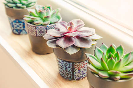 How to Arrange Your Living Room for Good Feng Shui in American Homes