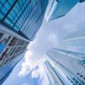Feng Shui Solutions for Open-Plan Offices: Balancing Energy in Shared Spaces
