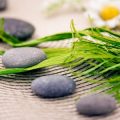 Crystals, Feng Shui, and Financial Healing: Overcoming Debts and Manifesting Abundance