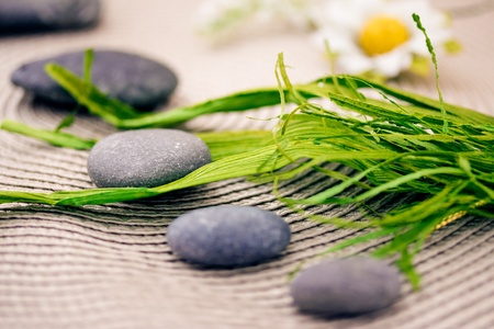 Crystals, Feng Shui, and Financial Healing: Overcoming Debts and Manifesting Abundance