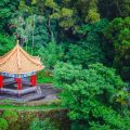 Best Colors and Decorations for Guest Room Feng Shui: Creating a Relaxing Retreat