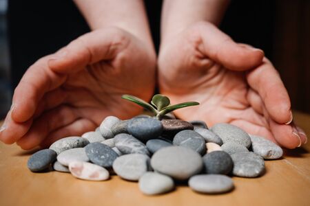Top 10 Crystals for Attracting Wealth According to Feng Shui