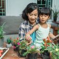 Kids and Feng Shui: Creating Harmonious Spaces for American Families