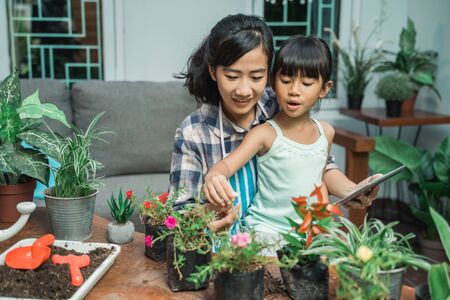 Kids and Feng Shui: Creating Harmonious Spaces for American Families