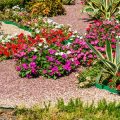 Sustainable Landscaping and Outdoor Feng Shui for American Gardens