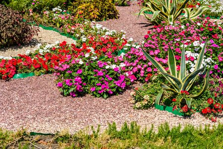 Sustainable Landscaping and Outdoor Feng Shui for American Gardens
