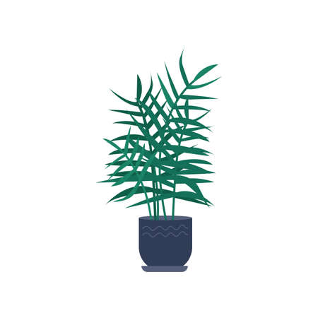 Placing Your Money Plant: Practical Feng Shui for American Homes