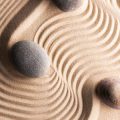 Feng Shui Do’s and Don’ts: The American Wallet Edition for Wealth Attraction
