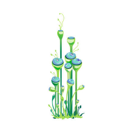 Selecting the Right Plants for Your Space