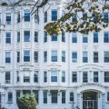Feng Shui and Sustainable Living: Green Tips for American Apartment Dwellers