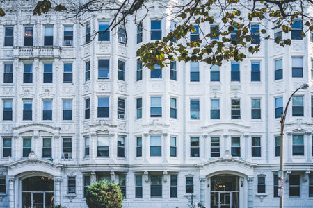 Feng Shui and Sustainable Living: Green Tips for American Apartment Dwellers