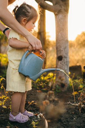 The Ultimate Guide to Outdoor Feng Shui: Transforming Your Garden with Positive Energy