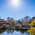 Annual and Seasonal Feng Shui Adjustments for Continual Prosperity