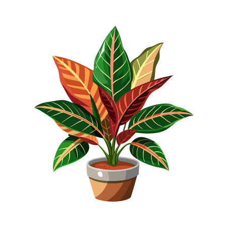 Debunking Misconceptions: What Feng Shui Really Says