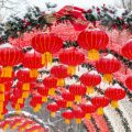 Legal Compliance and Feng Shui: Navigating U.S. Regulations during a Business Audit