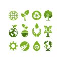 American Garden Feng Shui: Outdoor Plants That Attract Good Energy to Your Yard