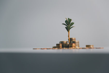 Combining Western Financial Practices with Feng Shui for True Prosperity