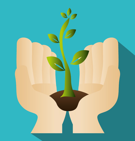 Strategic Placement: Locating Plants for Optimal Feng Shui