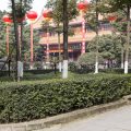 The Most Overlooked Feng Shui Mistakes in Backyard and Outdoor Spaces