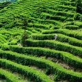 Troubleshooting Common Challenges: When Feng Shui Sound Cures Aren’t Working