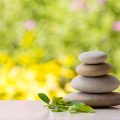 Personalizing Your Wealth Area: The Bagua Map, Color Choices, and Practical Tips