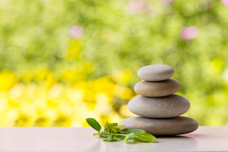 Personalizing Your Wealth Area: The Bagua Map, Color Choices, and Practical Tips