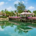 Creating a Peaceful Backyard Oasis: Feng Shui Principles for Outdoor Living Spaces