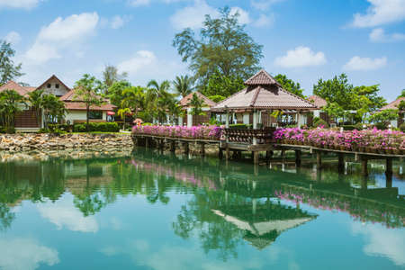 Creating a Peaceful Backyard Oasis: Feng Shui Principles for Outdoor Living Spaces