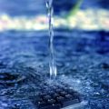 The Role of Water Features in Feng Shui: Creating Positive Energy in American Homes