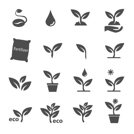 Incorporating Décor that Supports Positive Energy