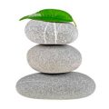 The Origins and History of Feng Shui: From Ancient China to Today’s America