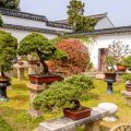 Feng Shui Tablescapes: Setting the Table for Abundance, Harmony, and Togetherness
