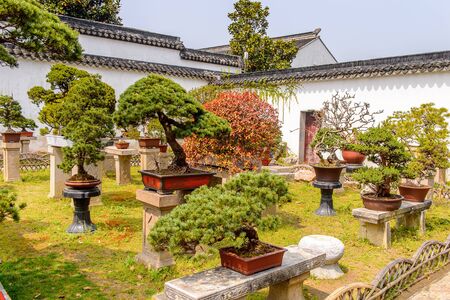 Feng Shui Tablescapes: Setting the Table for Abundance, Harmony, and Togetherness