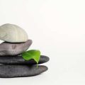 The Fundamental Principles of Feng Shui: Qi, Yin-Yang, and the Five Elements