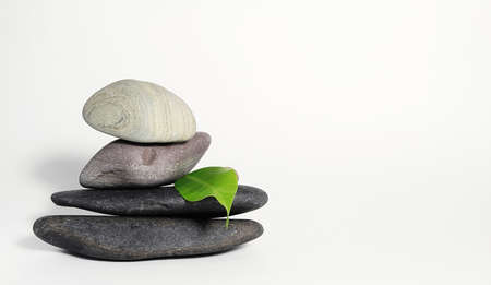 The Fundamental Principles of Feng Shui: Qi, Yin-Yang, and the Five Elements